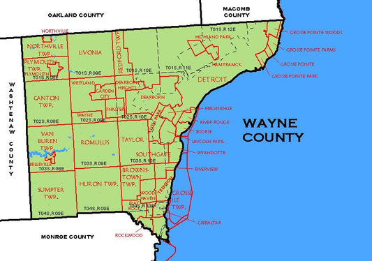 2025 Wayne County Foreclosed Properties List